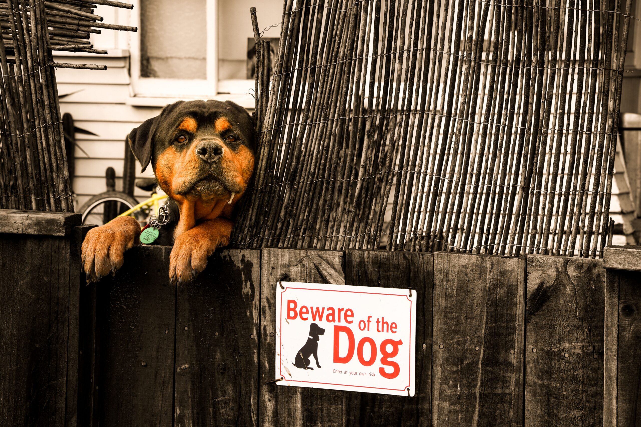 Is a Dog Owner Responsible for a Dog Bite in Columbus if They Had a "Beware of Dog" Sign?